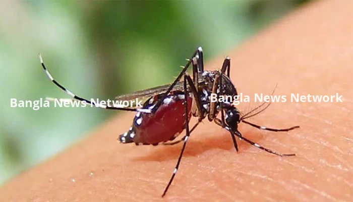 ২৪ ঘণ্টায় ডেঙ্গুতে দুই যুবকের মৃত্যু, হাসপাতালে ৫৭৩